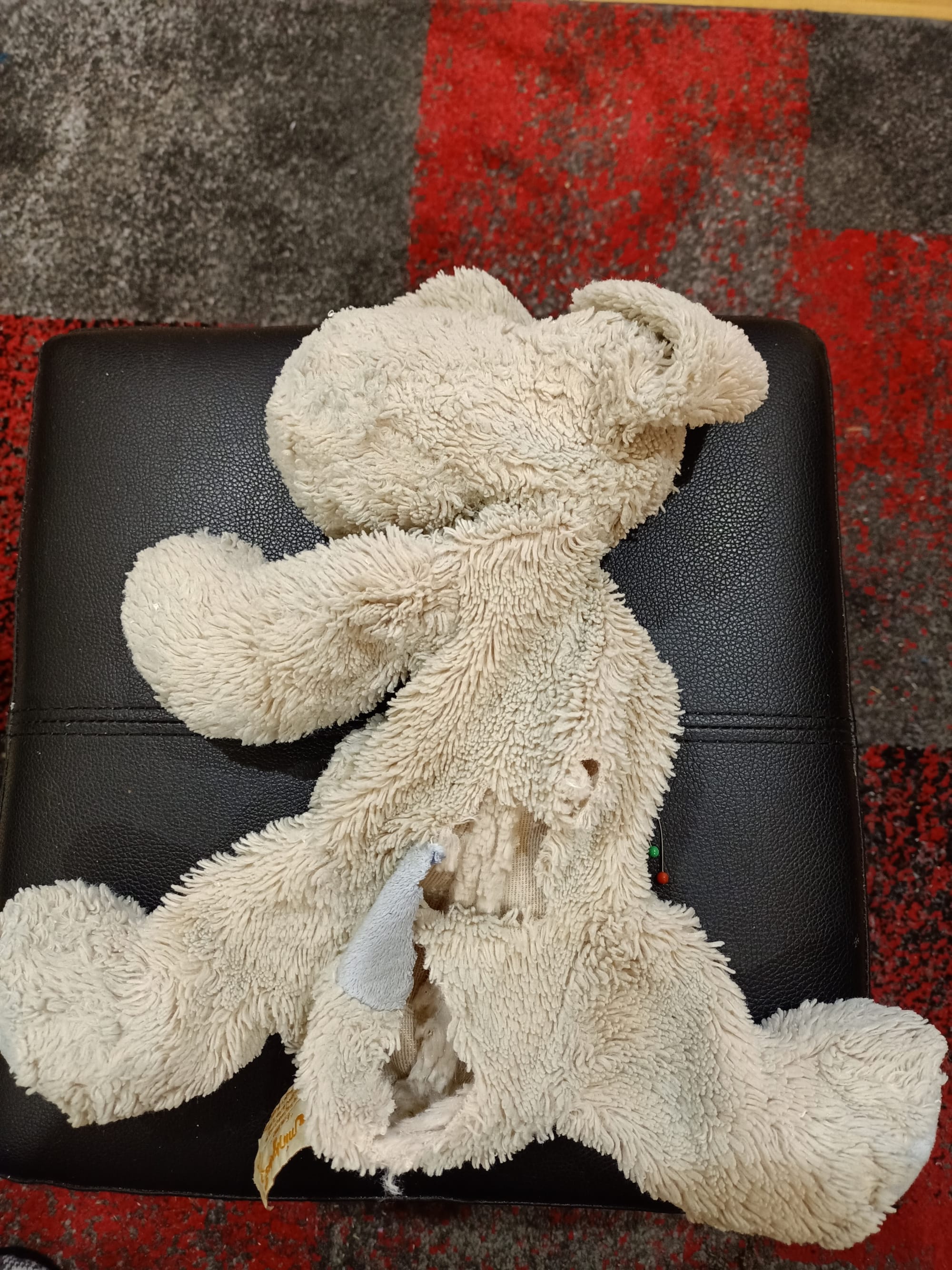Puppy before