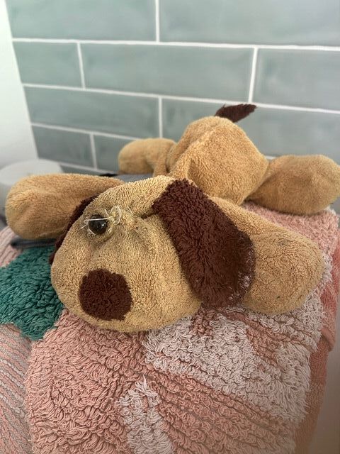 Puppy before