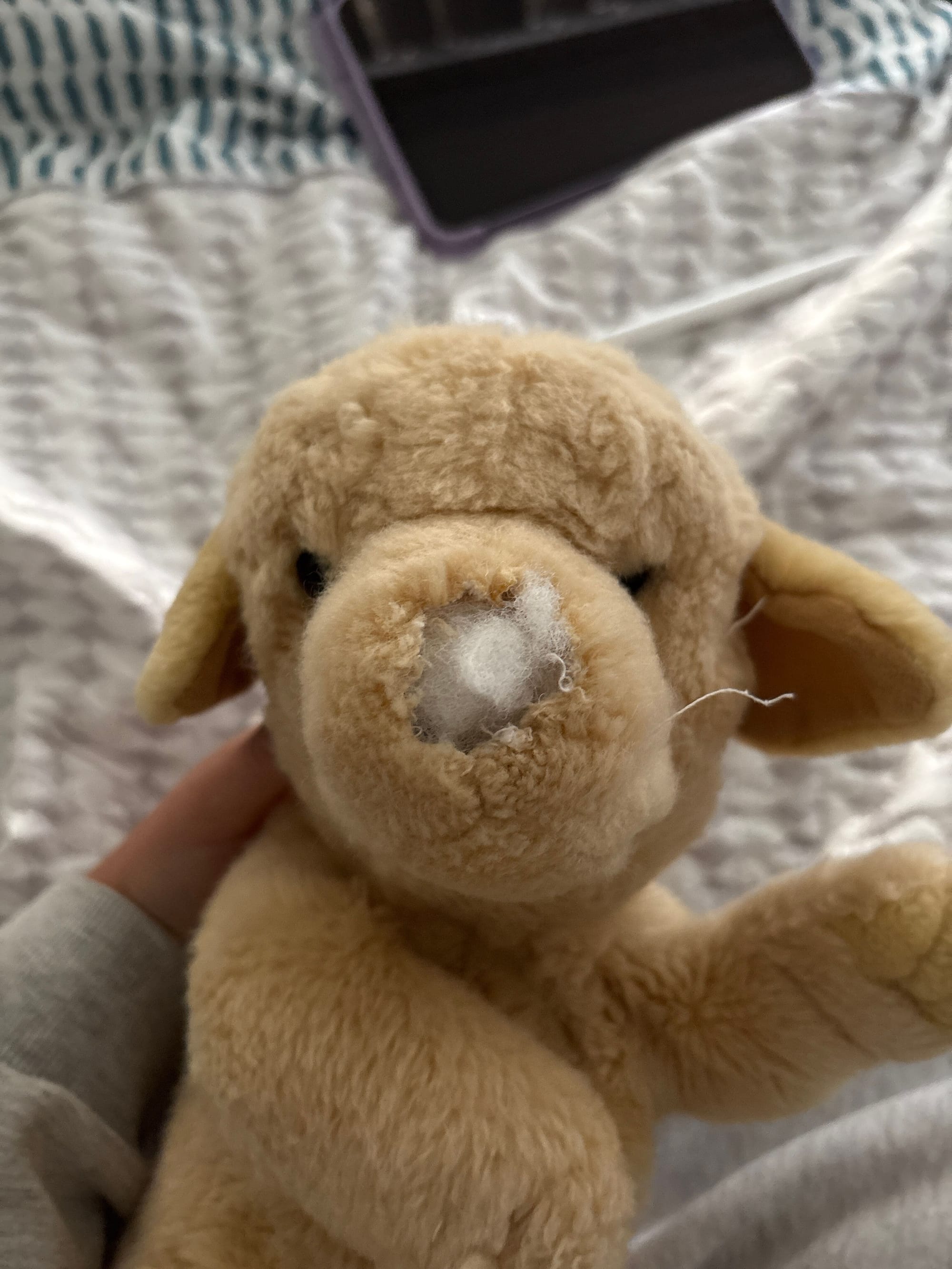 Puppy before
