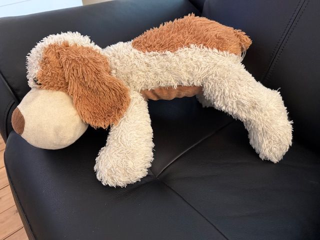 Puppy after