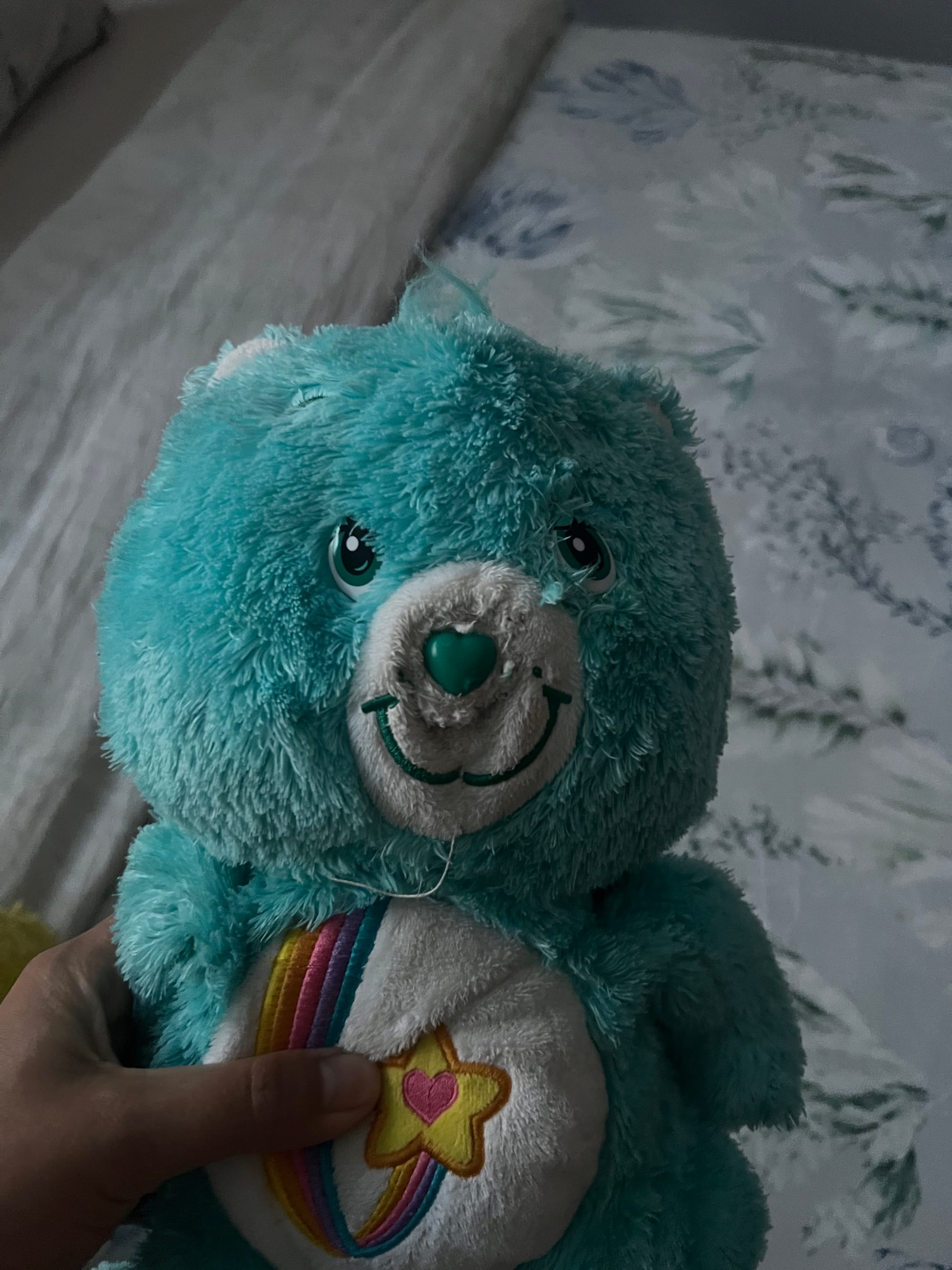 Care Bear before