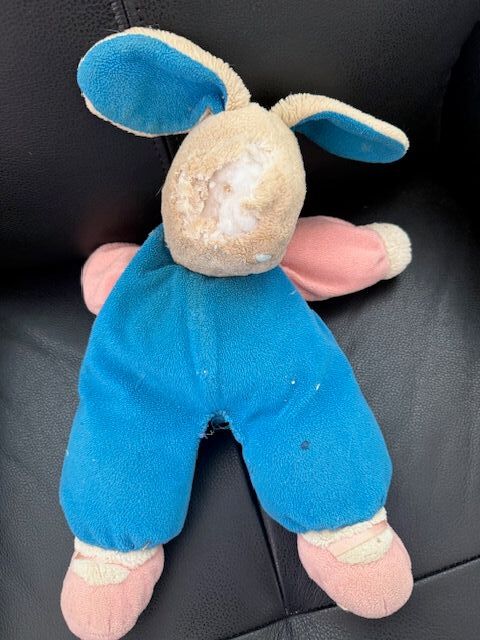 Bunny before