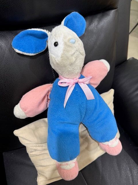 Bunny after