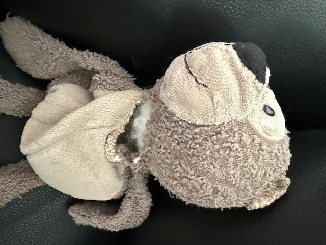Bear before