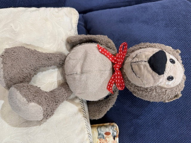 Bear after