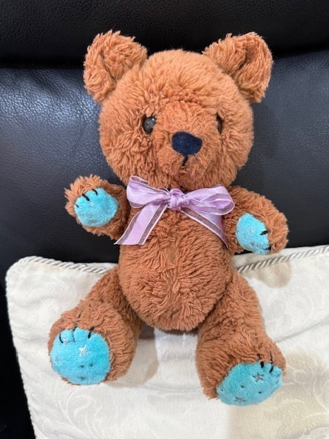 80 year old bear after