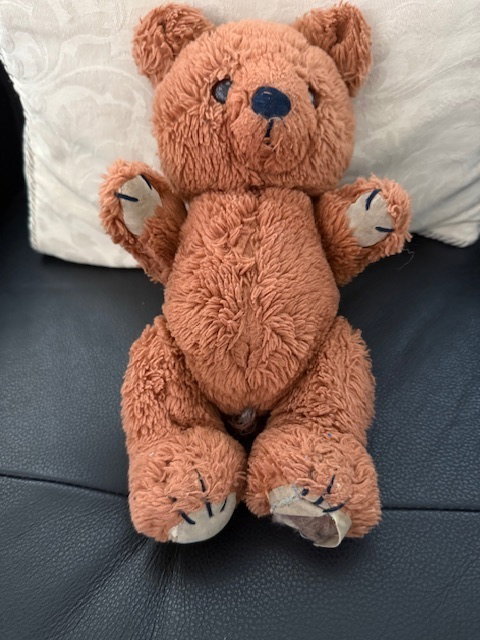 80 year old bear before