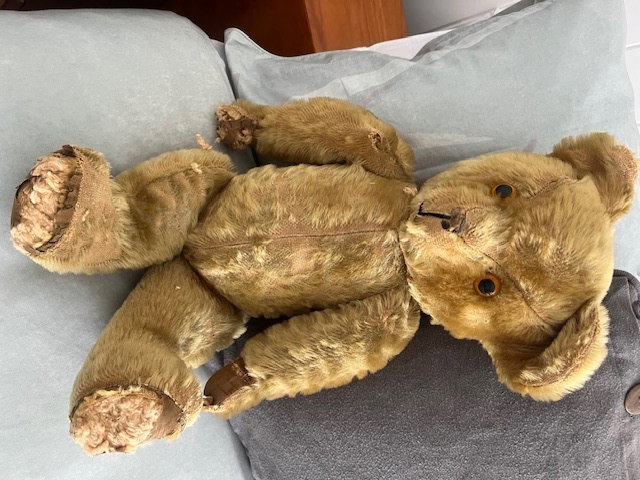 Old Teddy before