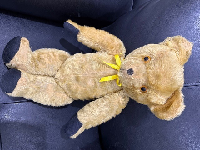 Old Teddy after