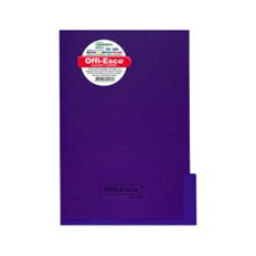 Carpeta Legajador Plastico