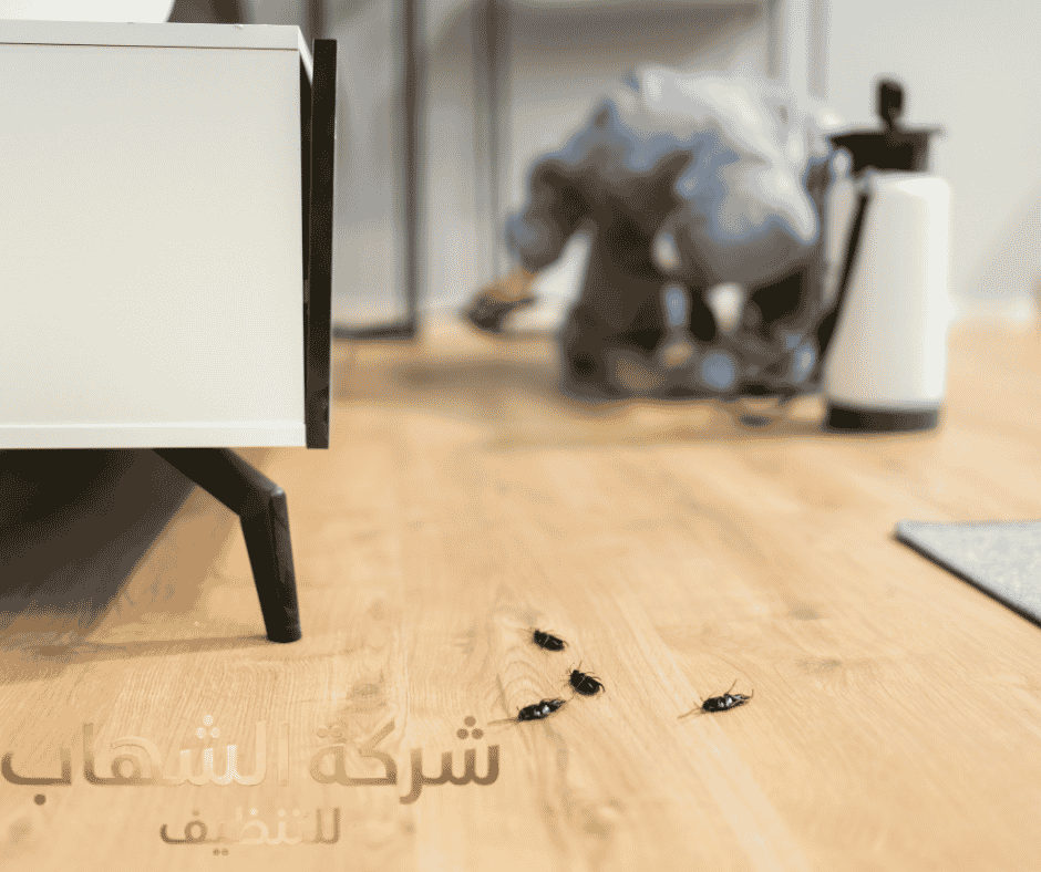 مكافحه النمل الابيض بالدمام