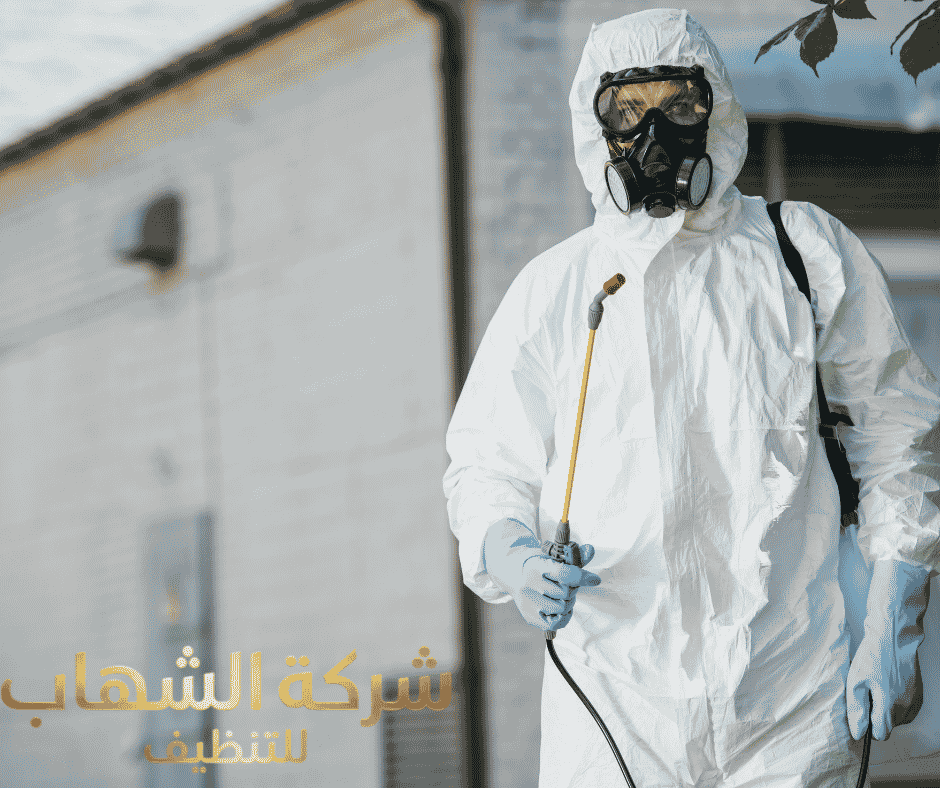 مكافحه الفئران و القوارض بالمنطقة الشرقية