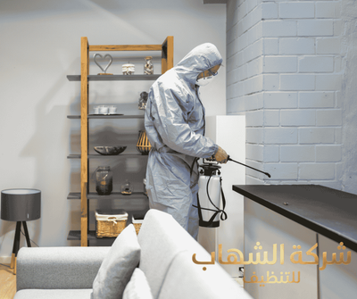 دليلك الشامل لاختيار شركة مكافحه الحشرات بالمنطقه الشرقية