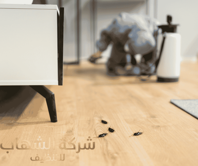مكافحه النمل الابيض بالدمام