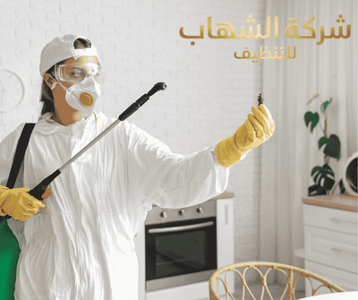 شركة مكافحة الصراصير