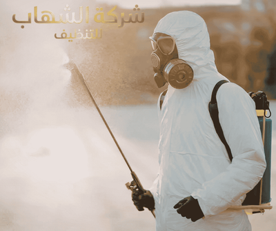 شركة مكافحه الحشرات بجدة