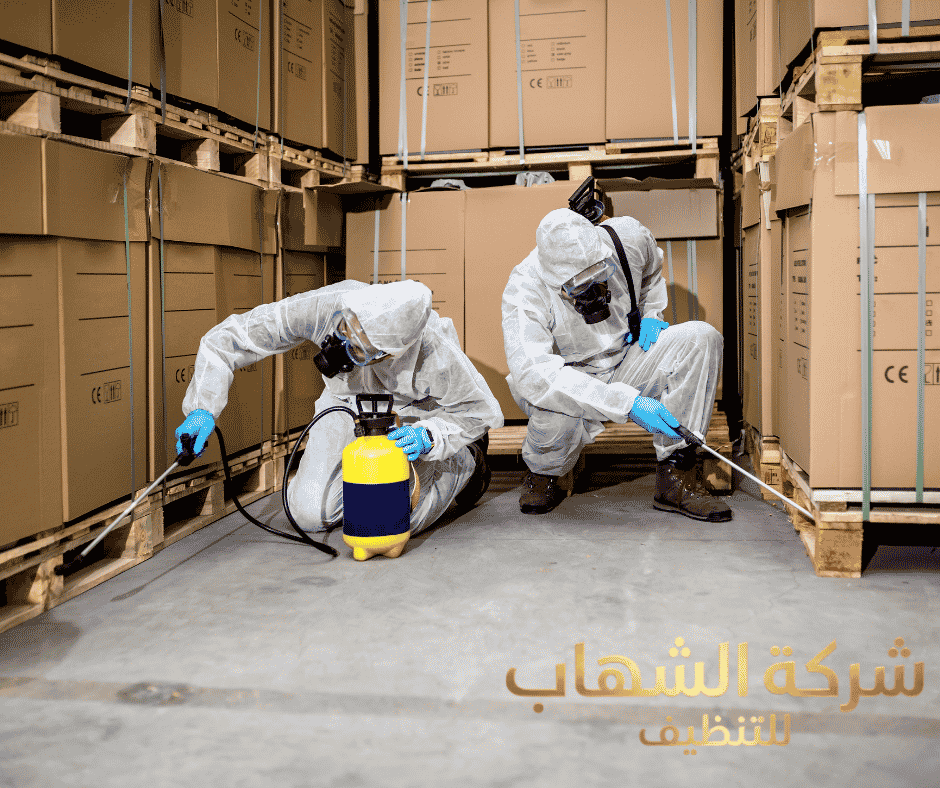 شركة مكافحه الحشرات بالمنطقه الشرقية
