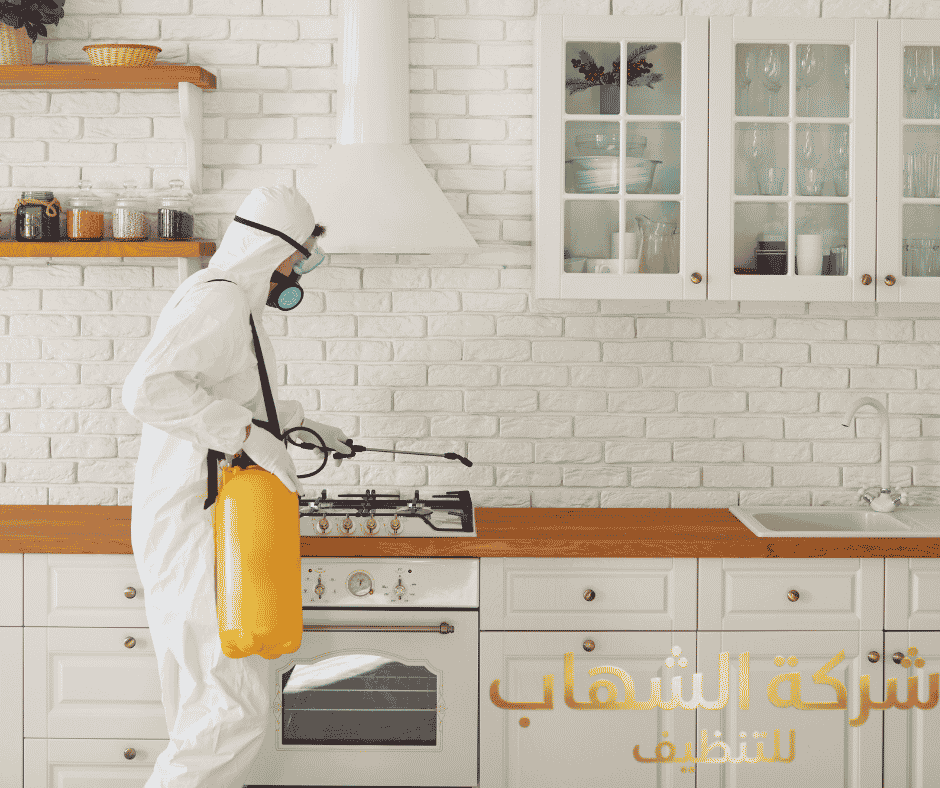 شركة مكافحة الصراصير