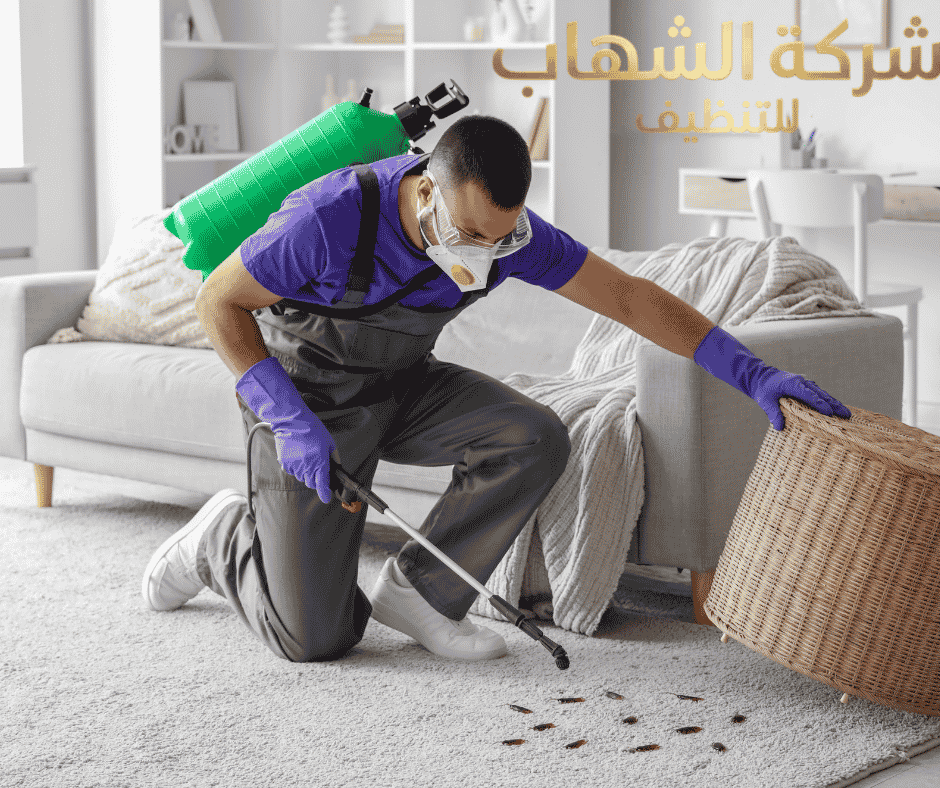 شركة مكافحه الحشرات بجدة