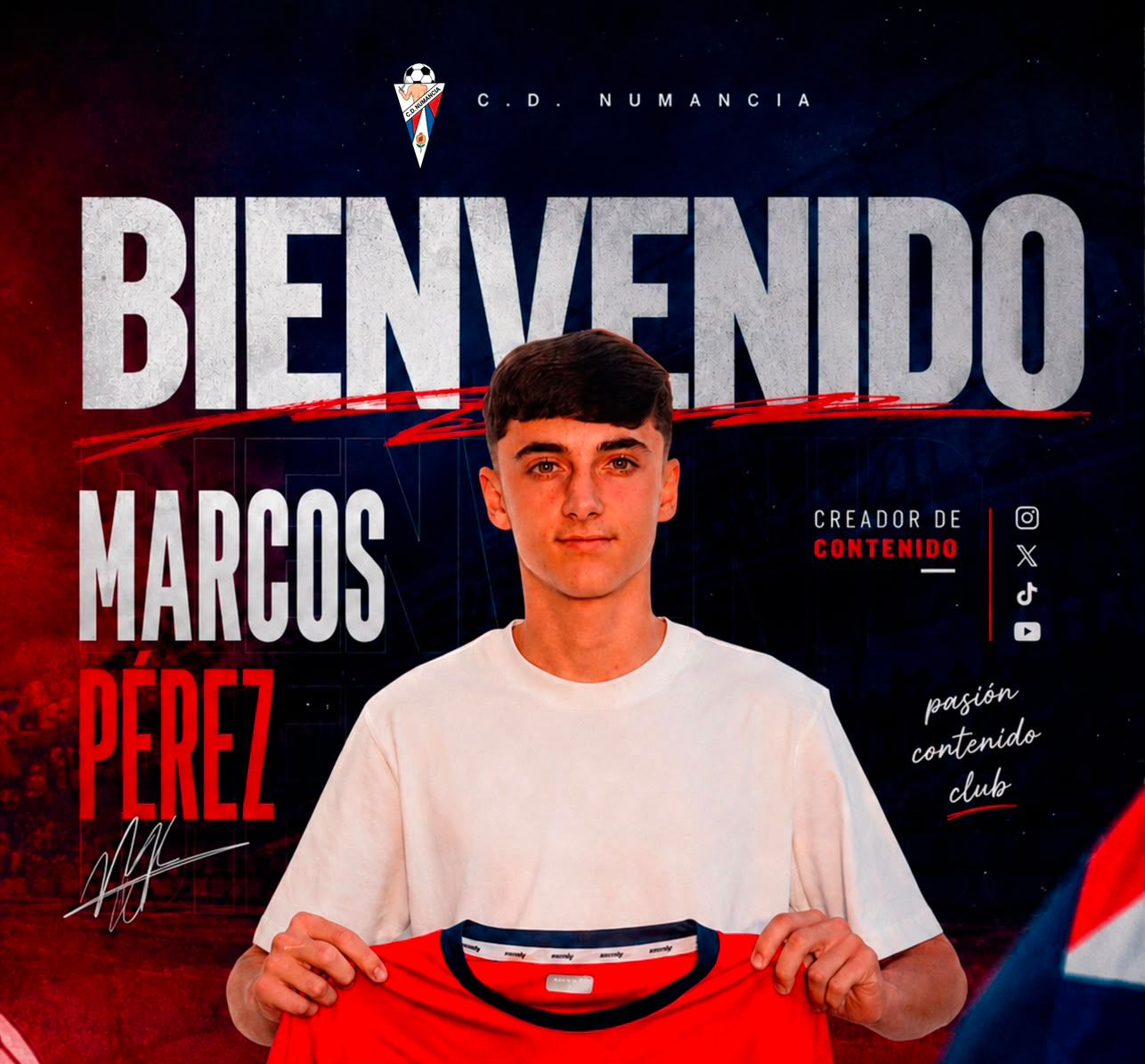 Técnico sobre el terreno
