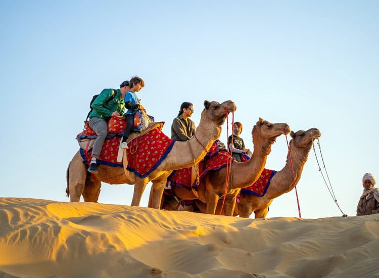 Camel safari in suraksha Desert Camp