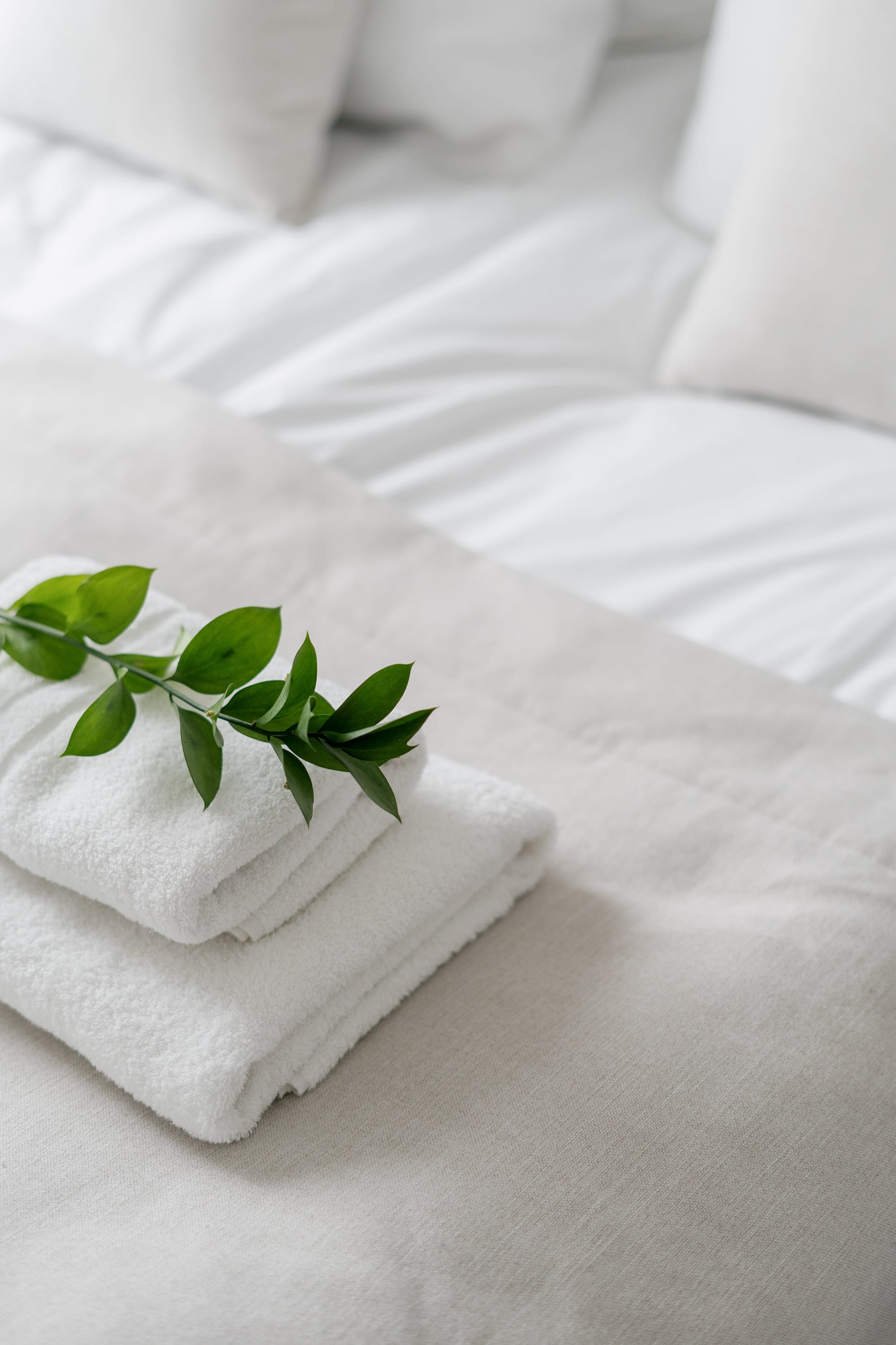 Servicii profesionale de spălătorie textile