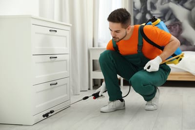 Servicii de dezinsecție, dezinfecție și deratizare