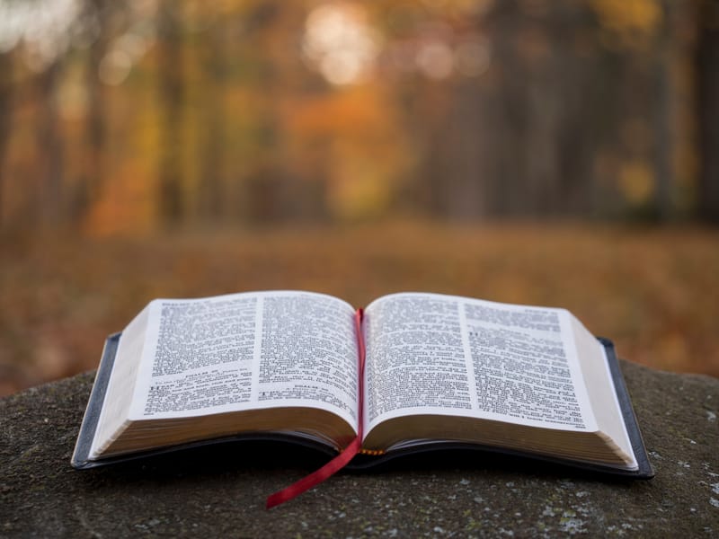 BIBLICAL FOUNDATION ART SERMINAR