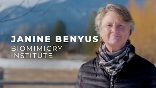 Expert Interview: Janine Benyus