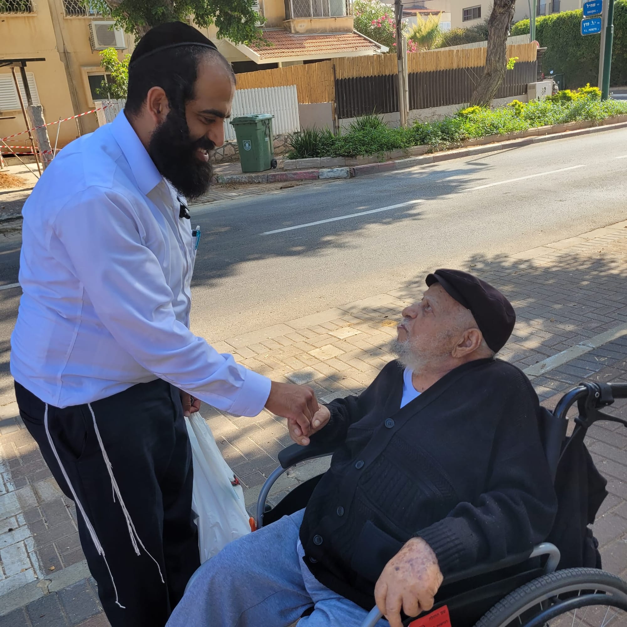 נצפה