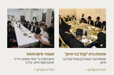 גלריות.