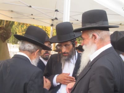 גלרייה וסיקור נרחב