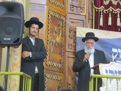 כעת בגלריות