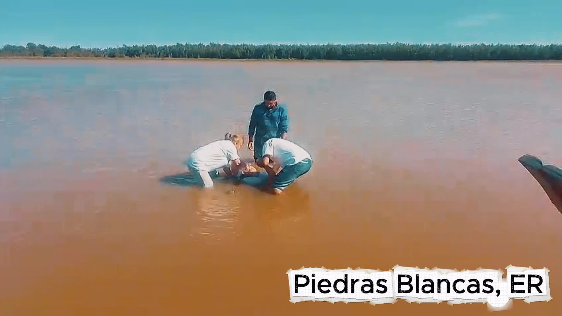 PIEDRAS BLANCAS, Entre Ríos, ARG.