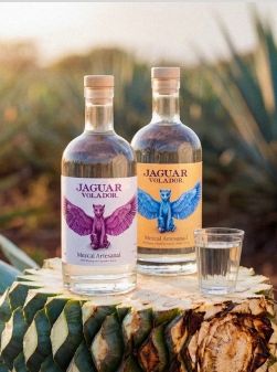 Jaguar Volador