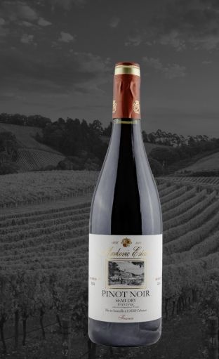 Markovic (France Region)