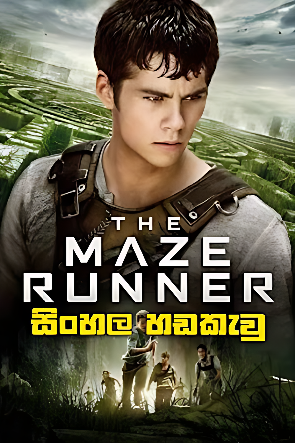 The Maze Runner (2014) Sinhala Dubbed | සිංහල හඬකැවූ