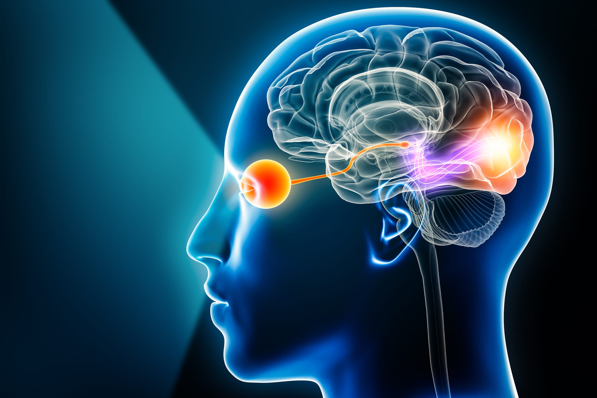Cientistas criaram primeiro tecido cerebral 100% funcional em impressora 3D