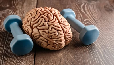 6 métodos científicos para melhorar e muito a sua memória