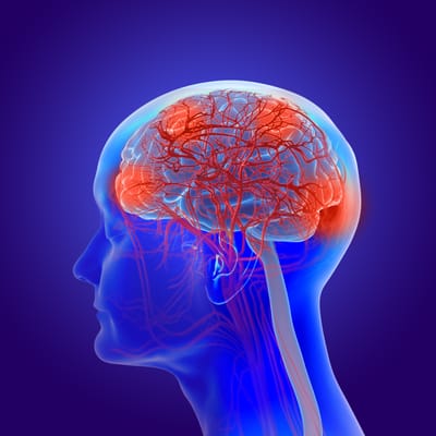 Cientistas descobrem como fazer partes do cérebro descansarem sem dormir