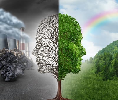 Impacto Global das Mudanças Climáticas nos Riscos e Consequências do AVC