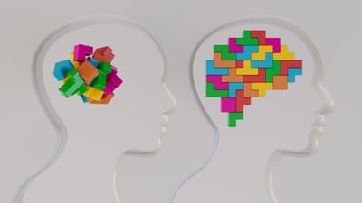ENTRE IMAGINAR E AGIR: Como o Cérebro Constrói — ou Bloqueia — o Futuro