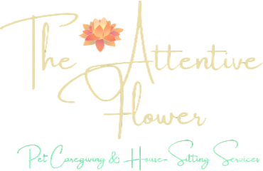 The Attentive Flower: Pet/House Sitting Services