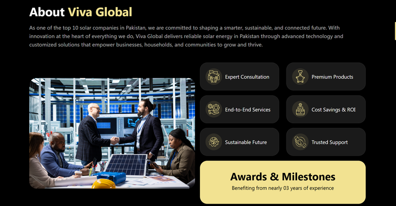 Viva Global AI — Solar Solutions - Case Study