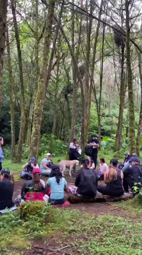 Salto San Miguel - nacimiento del rio Medellín