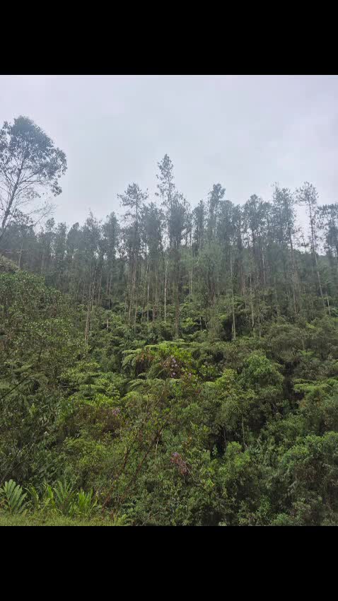 Salto San Miguel