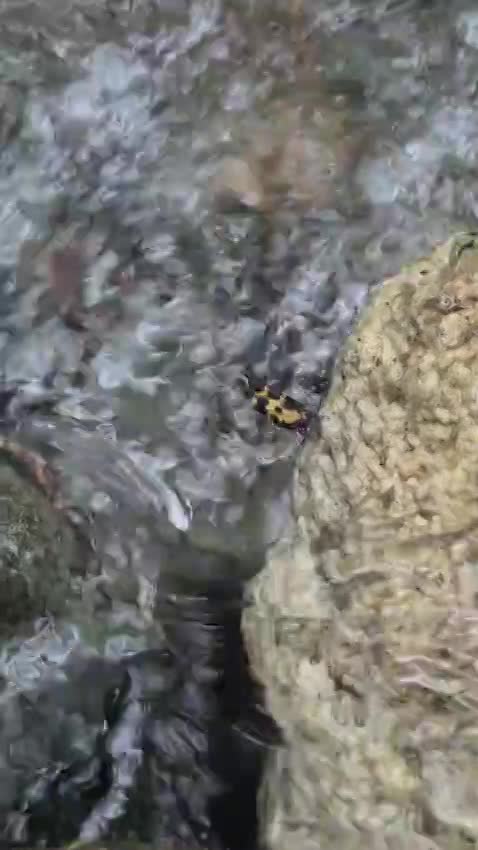 Salto San Miguel