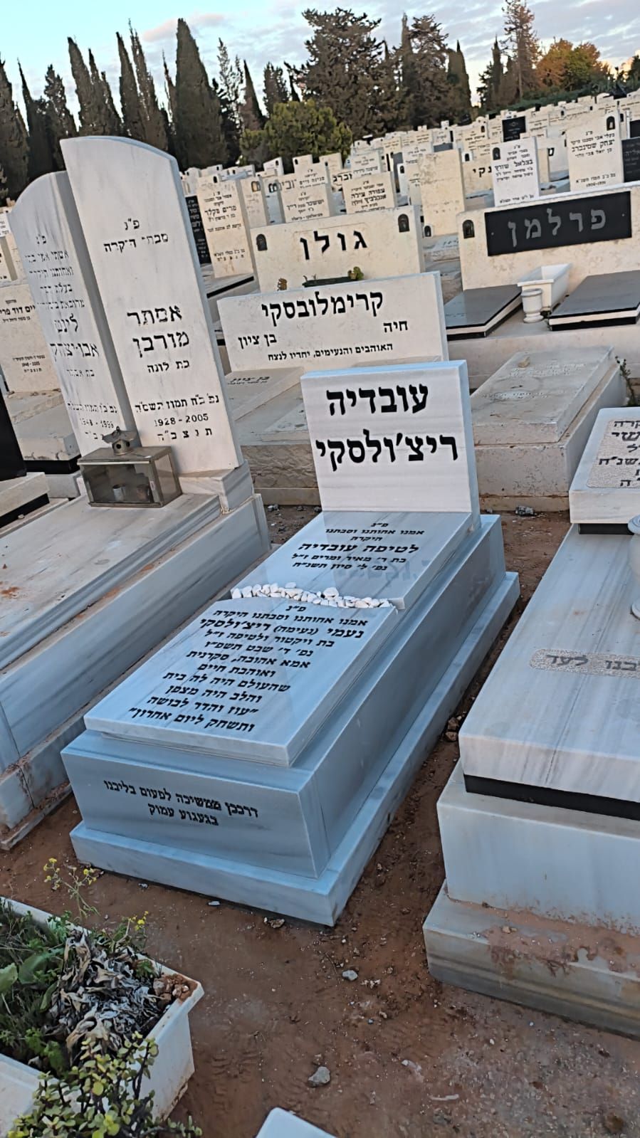 מצבה משפחתית מק"ט 67