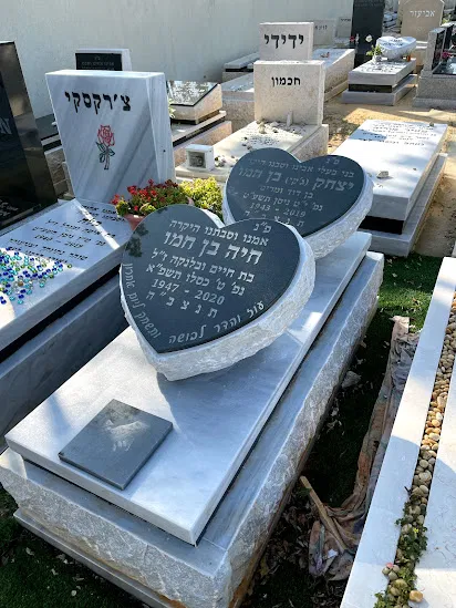 מצבה משפחתית (301)
