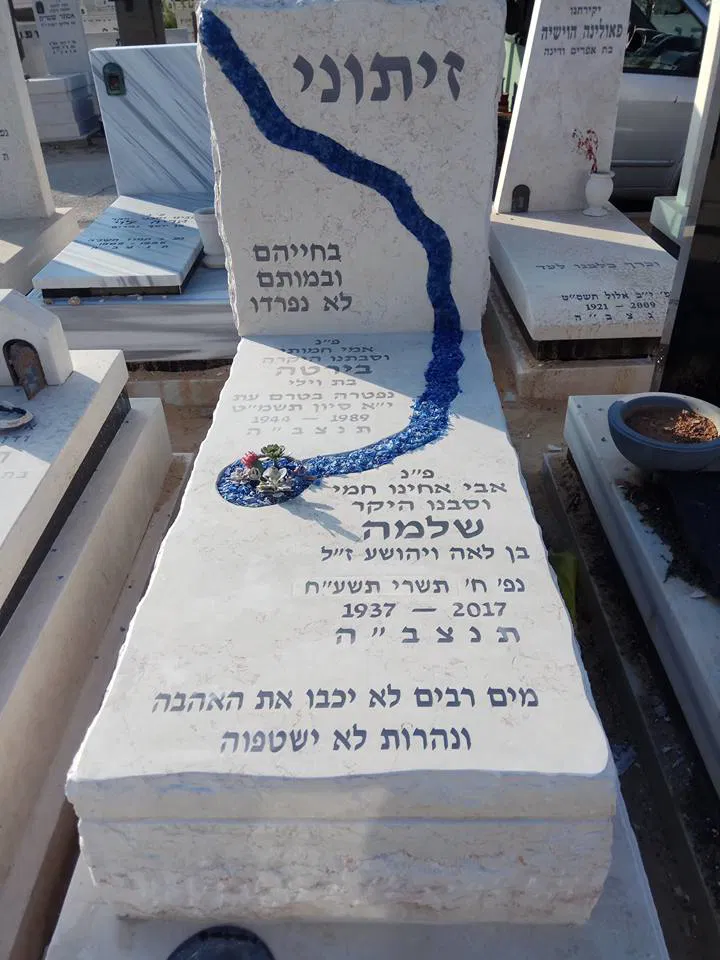 מצבה משפחתית (305)